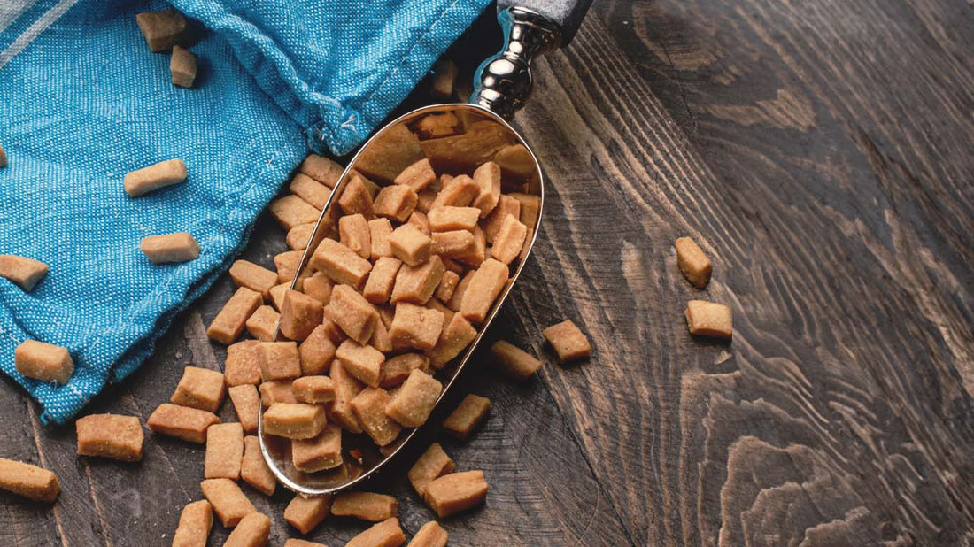 History of chin-chin snack, Nigerian Saro tradition, Mikey's Gourmet